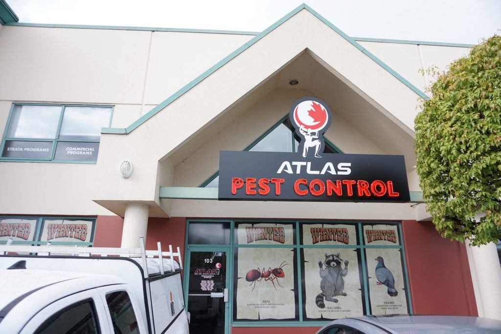 Atlas Pest and Wildlife Control Ltd in Vancouver BC