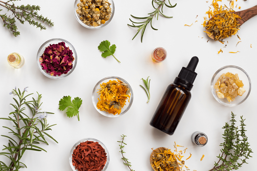 What is Naturopathic Medicine?