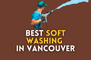 TOP-5 Best Soft Washing in Vancouver